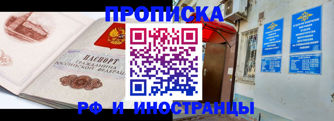 прописка законно в Коле